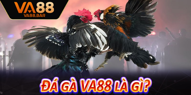 Đá gà VA88 là gì?