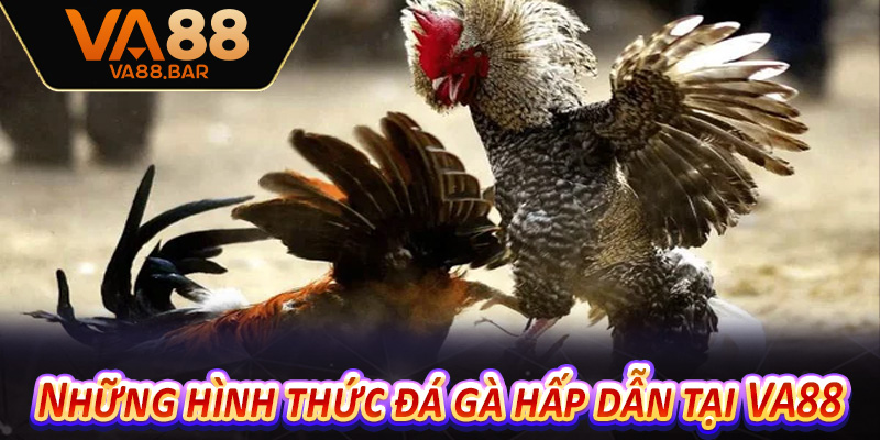 Những hình thức đá gà hấp dẫn tại VA88