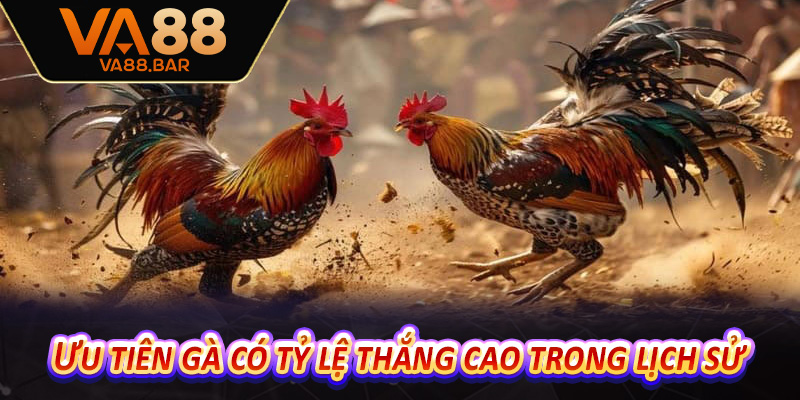 Ưu tiên gà có tỷ lệ thắng cao trong lịch sử